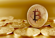 Cryptomonnaies : pourquoi commencer à investir ? Cryptomonnaies : pourquoi commencer à investir ?