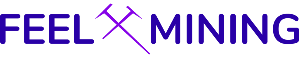 Logo de l'entreprise Feel Mining